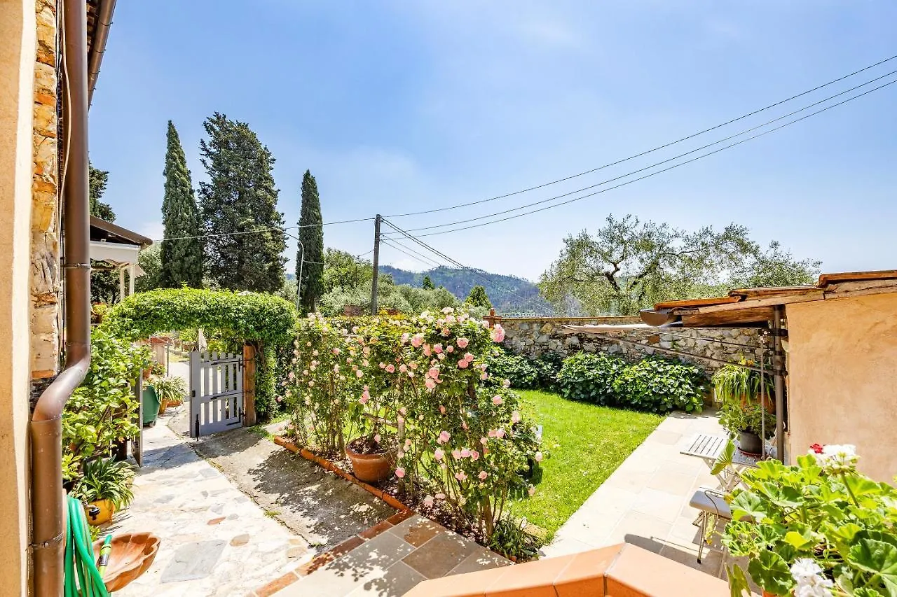 Casa Ortomaggiore With Pool & Sauna Camaiore Villa
